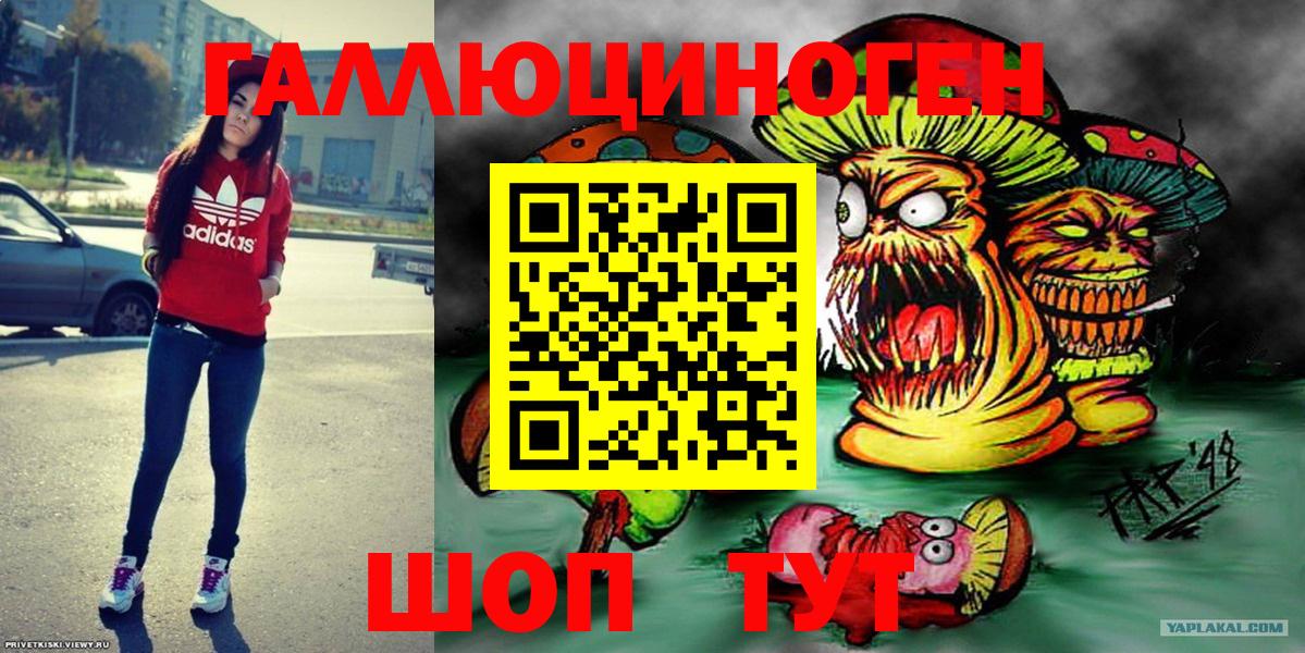 Галлюциногенные грибы мицелий  купить закладку  Майкоп  Галлюциногенные грибы GOLDEN TEACHER  Вход с VPN 